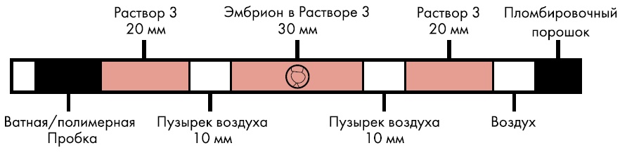 Схема дробления